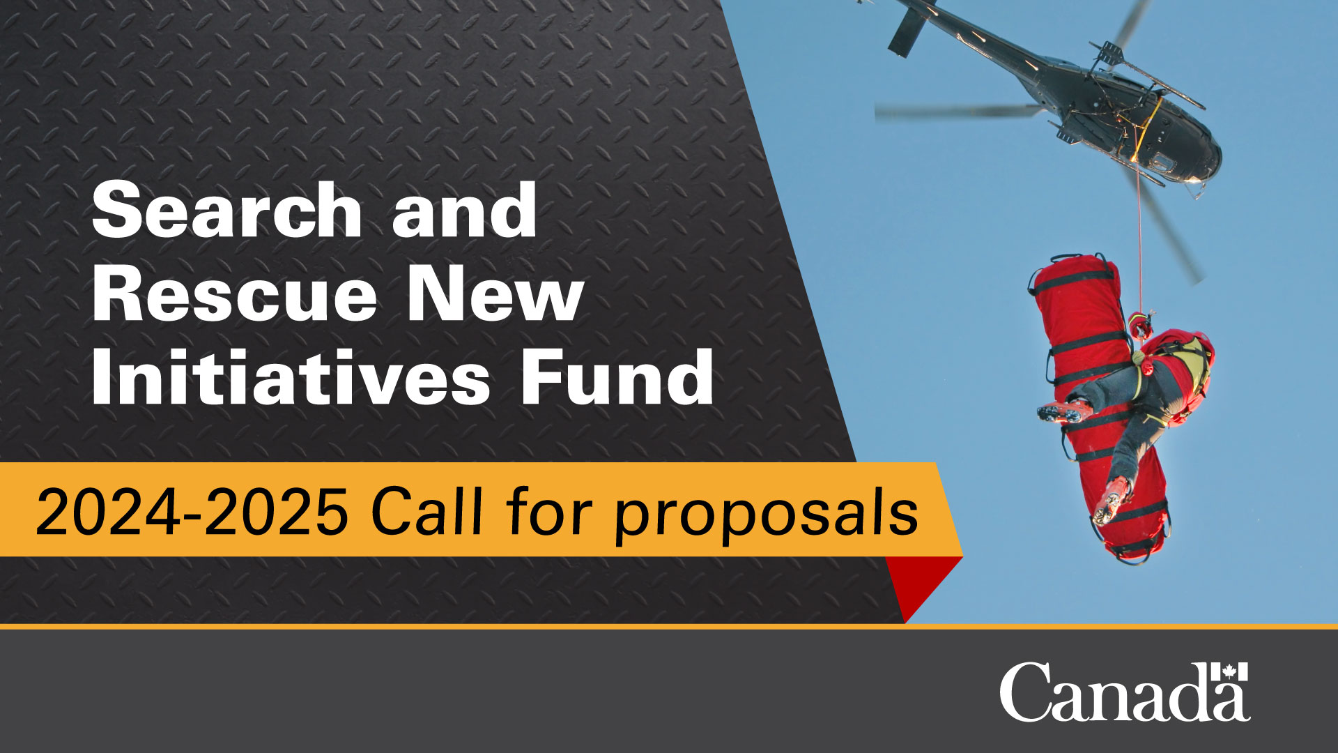 NSS Now Accepting SARN NIF  Funding Proposals for 2024-2025
